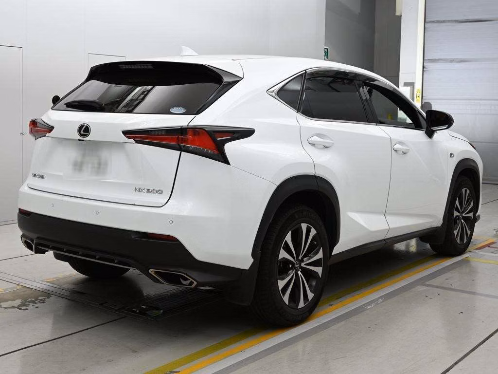 LEXUS NX300