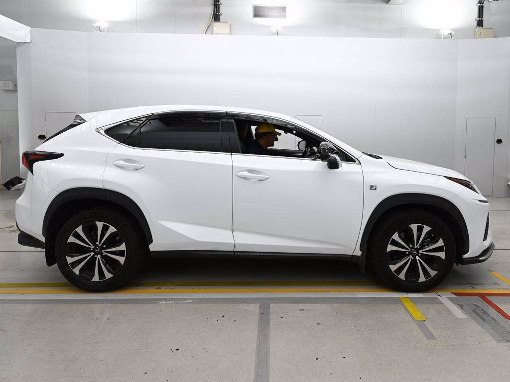 LEXUS NX300