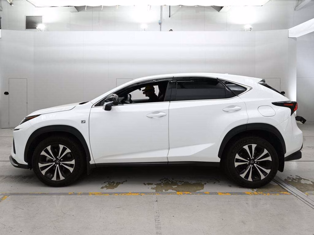 LEXUS NX300