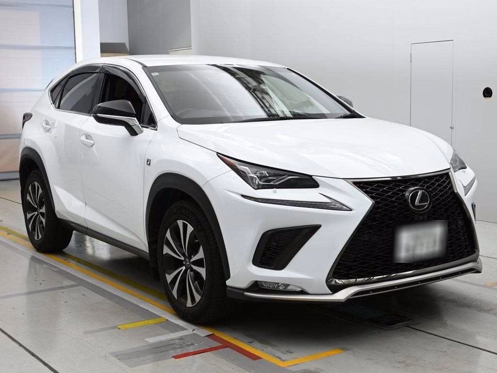 LEXUS NX300