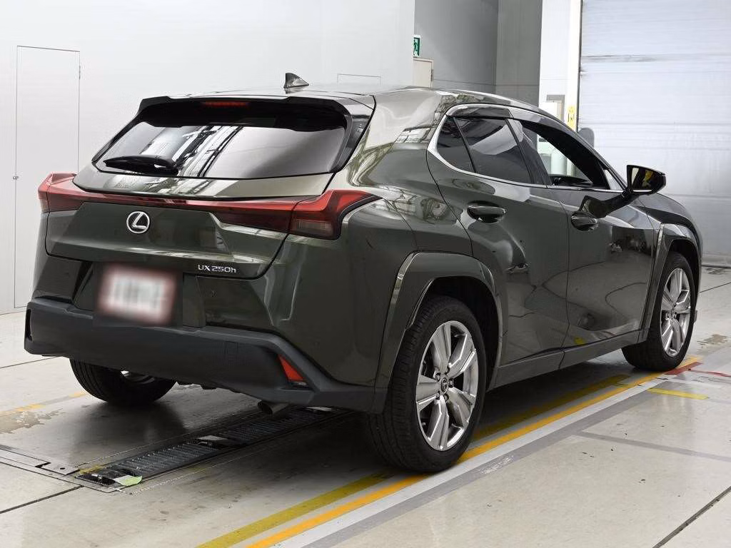 LEXUS UX250H