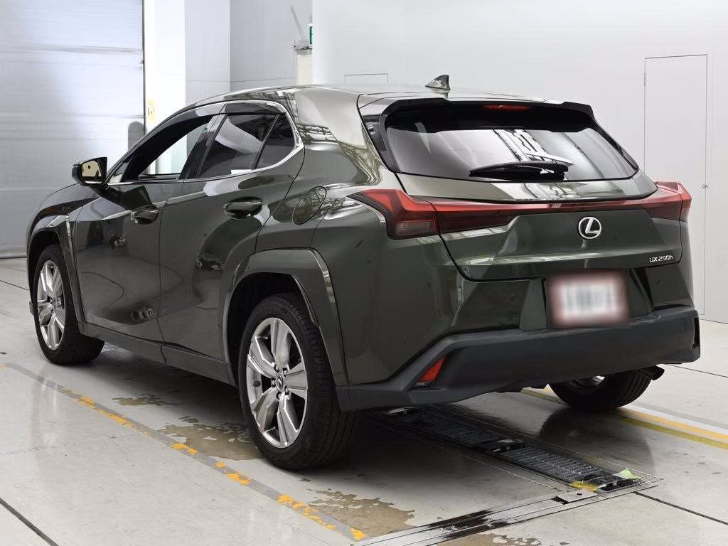 LEXUS UX250H