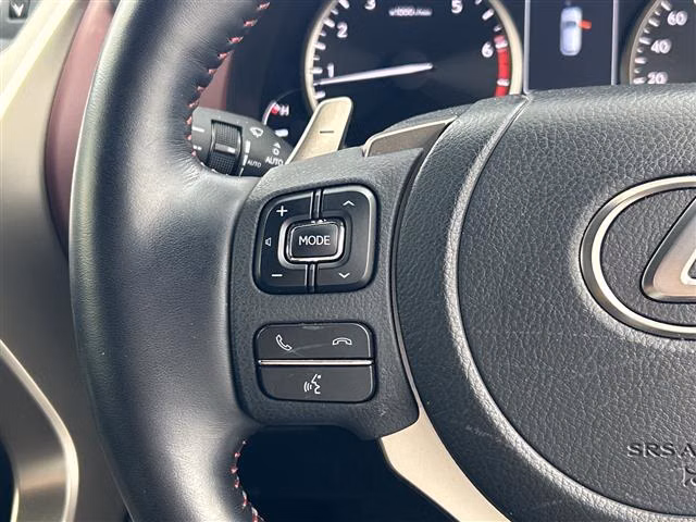 LEXUS NX300