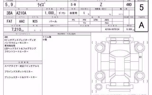 TOYOTA RAIZE