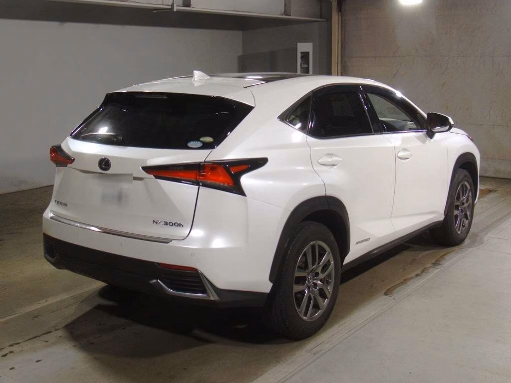 LEXUS NX300