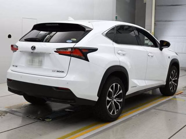 LEXUS NX300