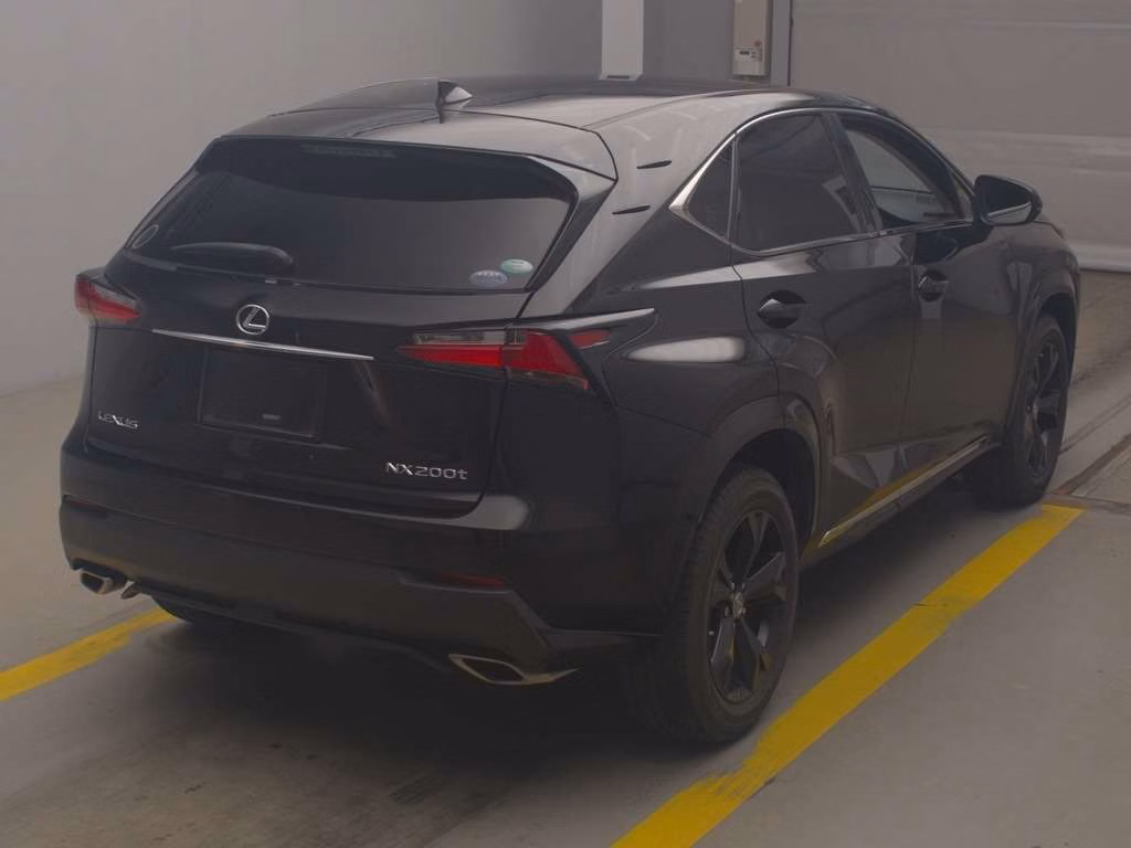 LEXUS NX300