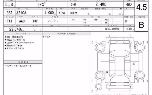 TOYOTA RAIZE