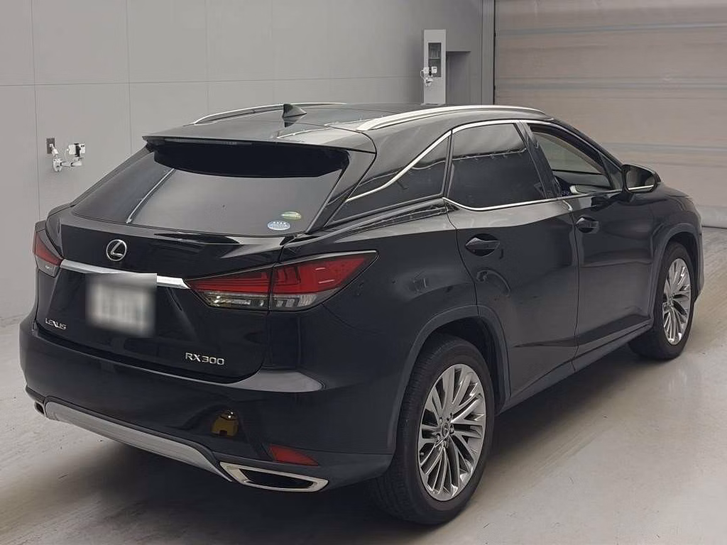 LEXUS RX300