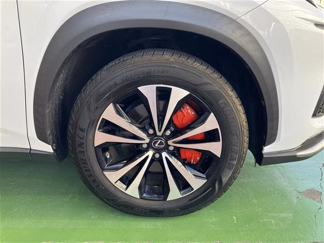 LEXUS NX300