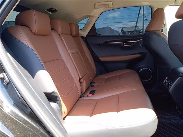 LEXUS NX200T
