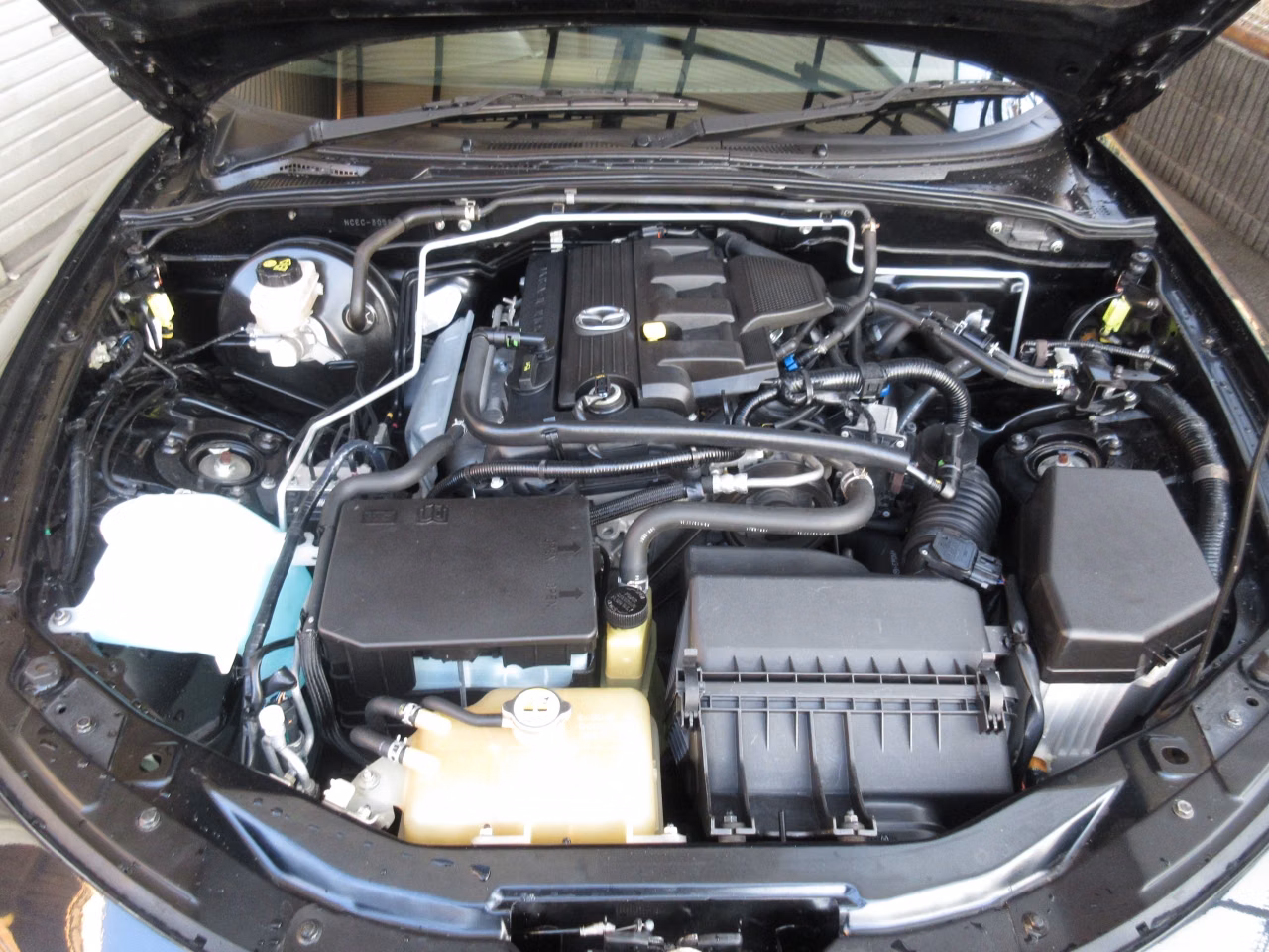 MAZDA ROADSTER