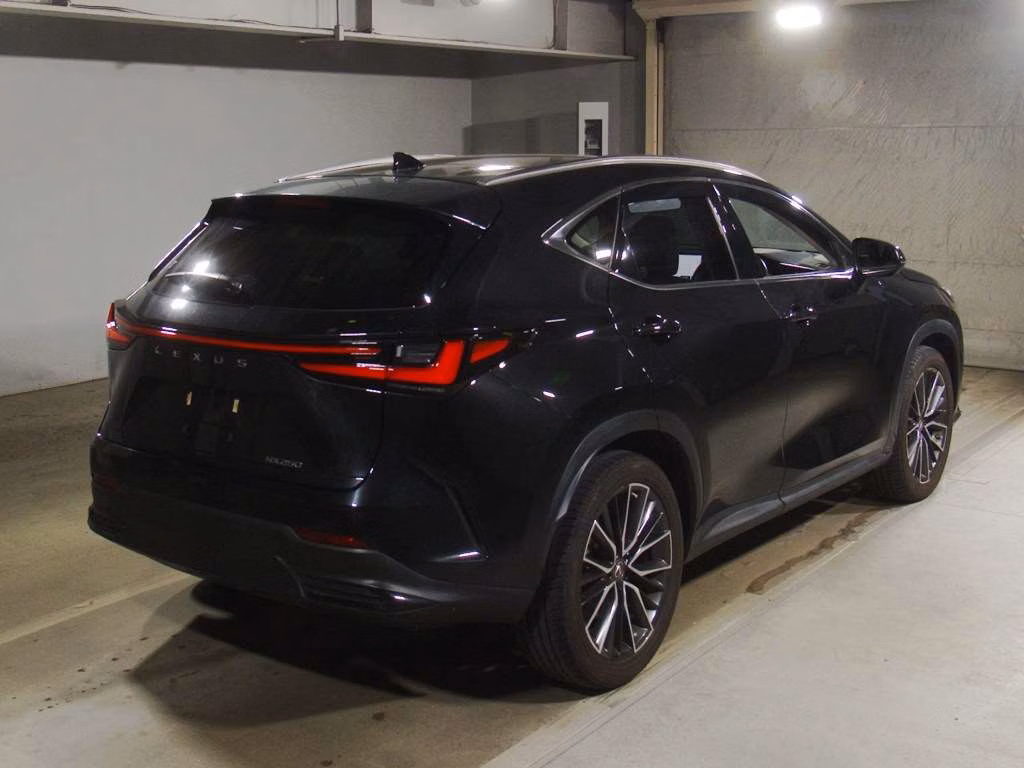 LEXUS NX250