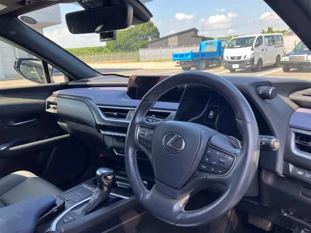 LEXUS UX250H