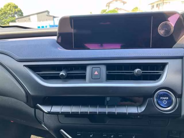 LEXUS UX250H