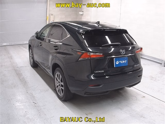 LEXUS NX300