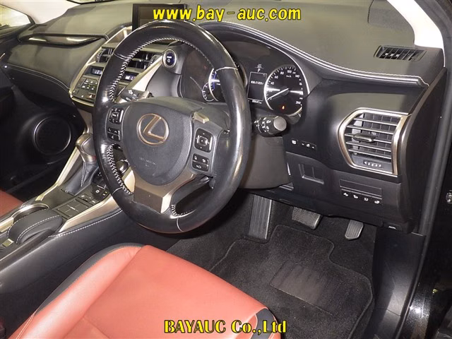 LEXUS NX300