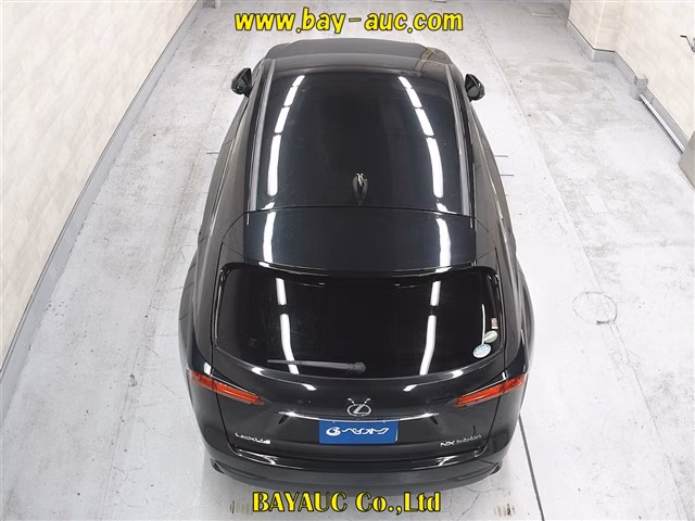 LEXUS NX300