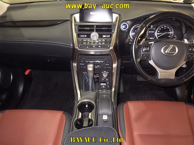 LEXUS NX300