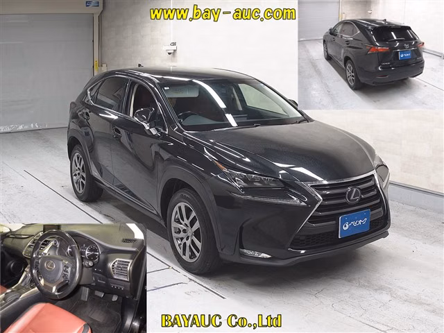 LEXUS NX300