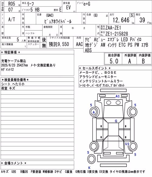 NISSAN LEAF