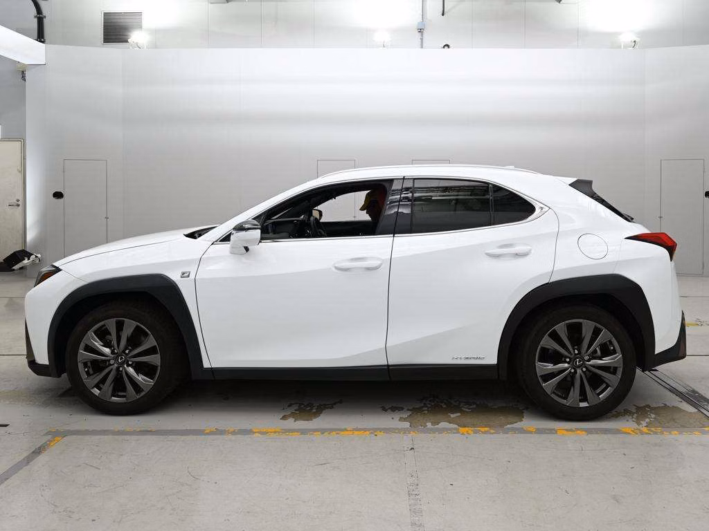 LEXUS UX250H