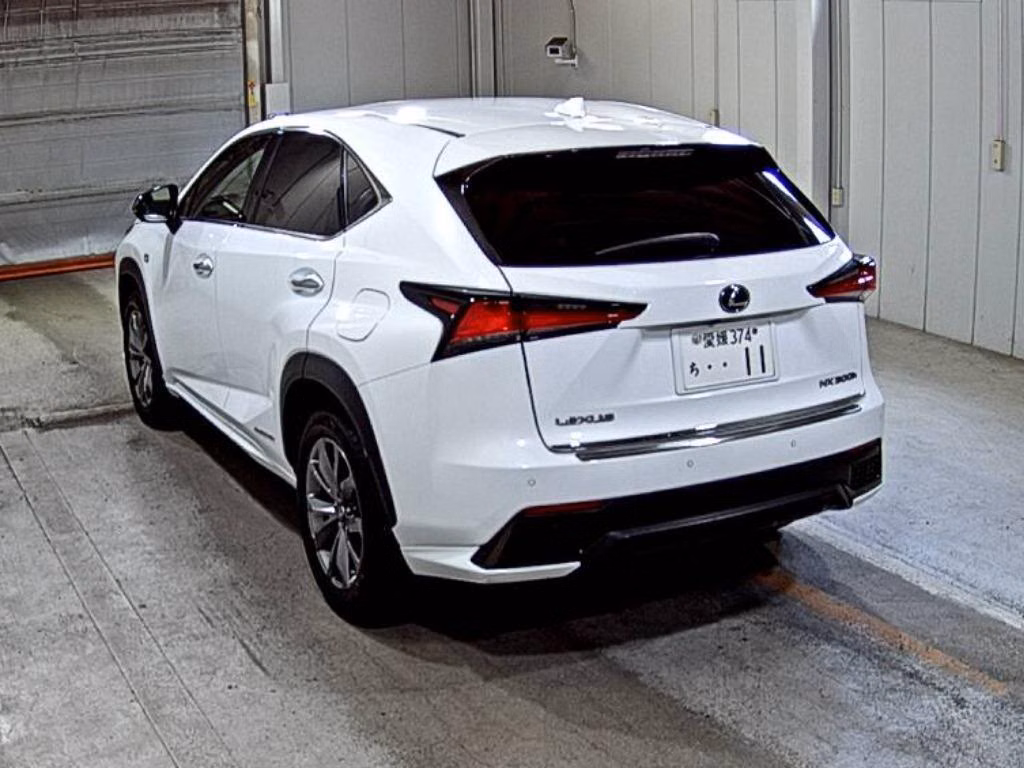 LEXUS NX300