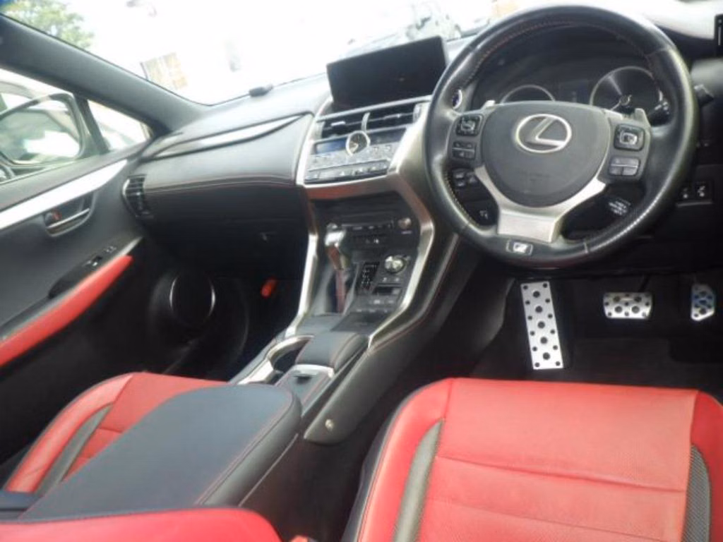 LEXUS NX300