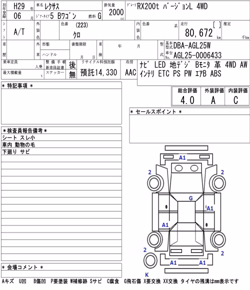 LEXUS RX300
