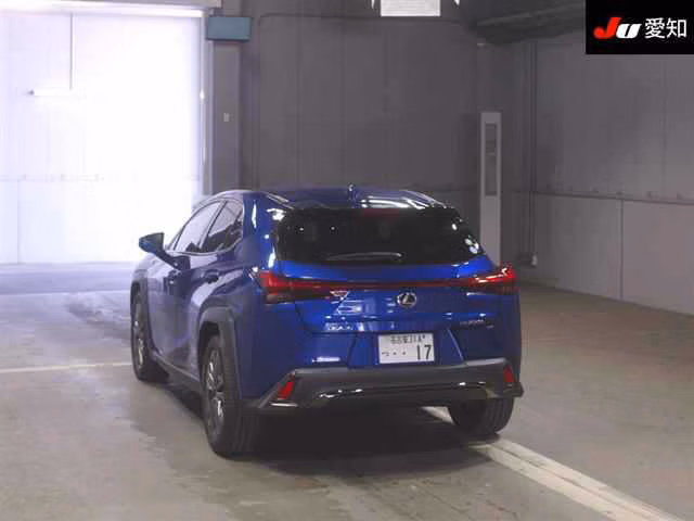 LEXUS UX250H