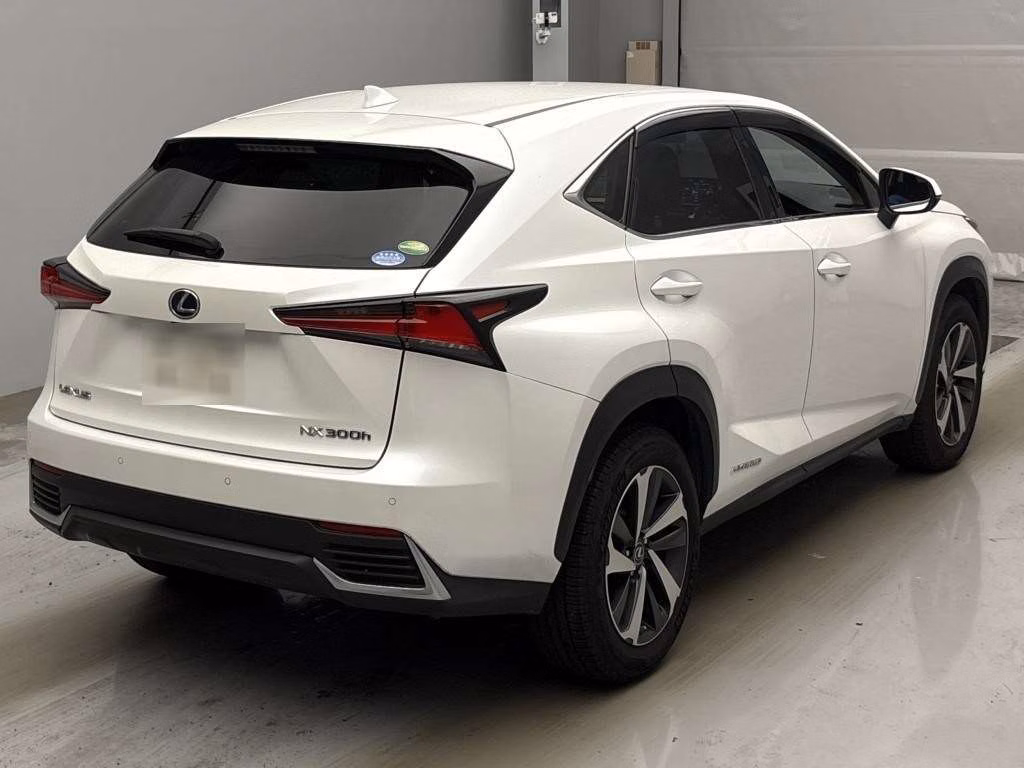 LEXUS NX300H