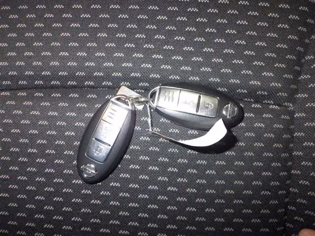 NISSAN DUALIS