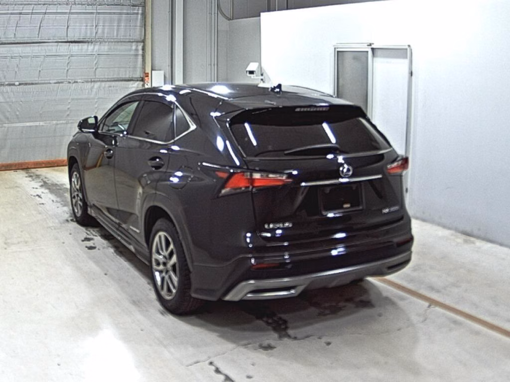 LEXUS NX300