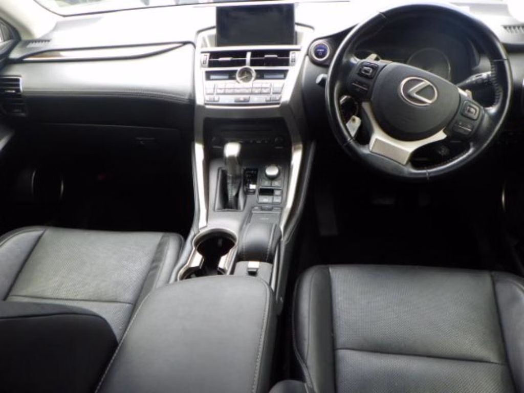 LEXUS NX300