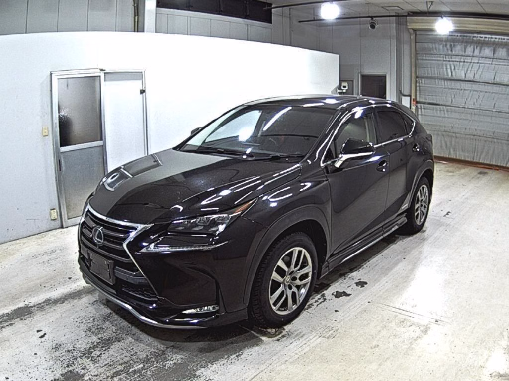 LEXUS NX300