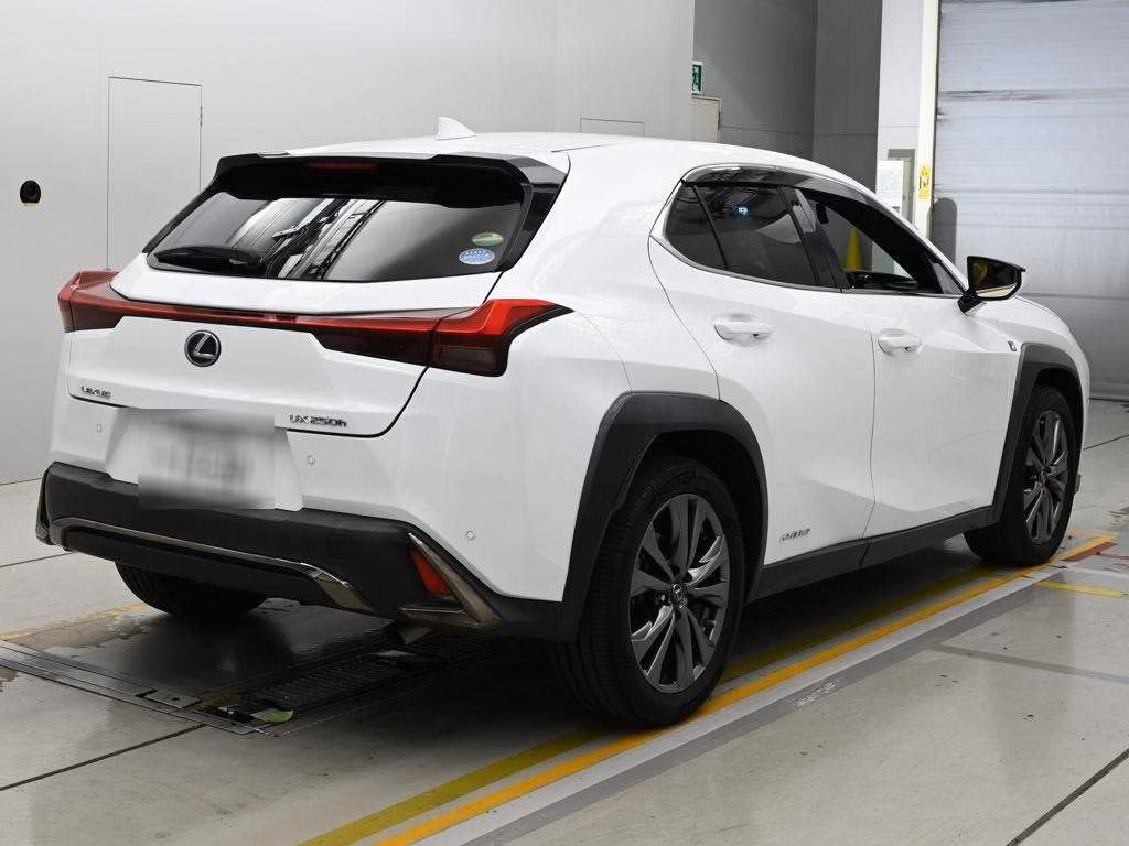 LEXUS UX250H