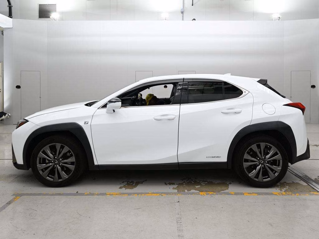 LEXUS UX250H