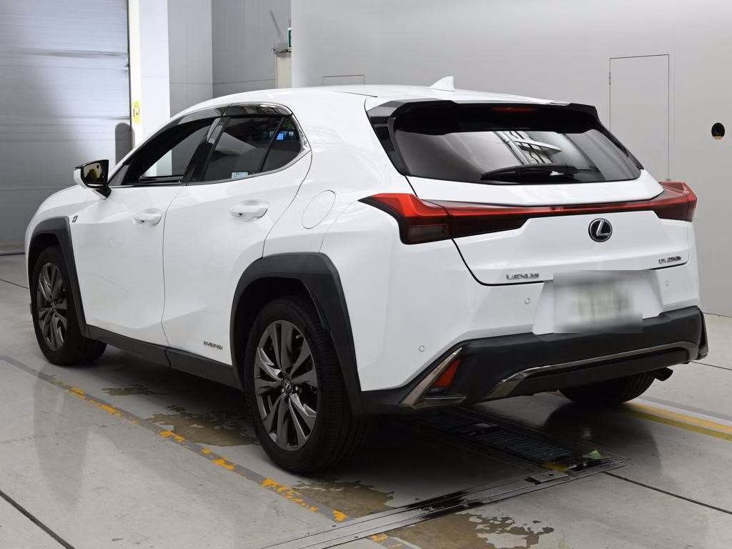 LEXUS UX250H