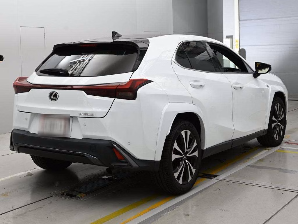 LEXUS UX250H