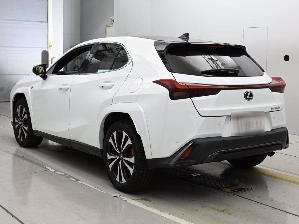 LEXUS UX250H