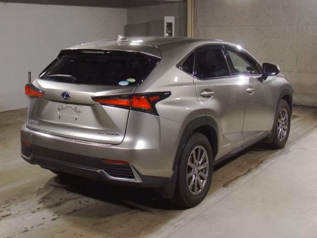 LEXUS NX300
