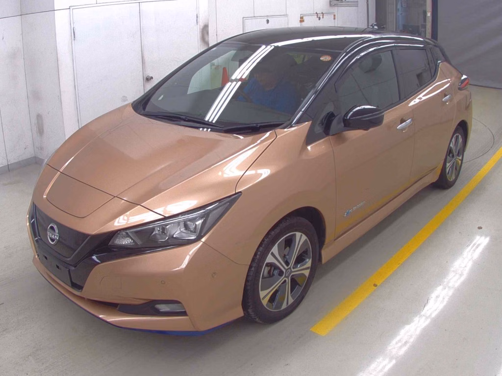 NISSAN LEAF