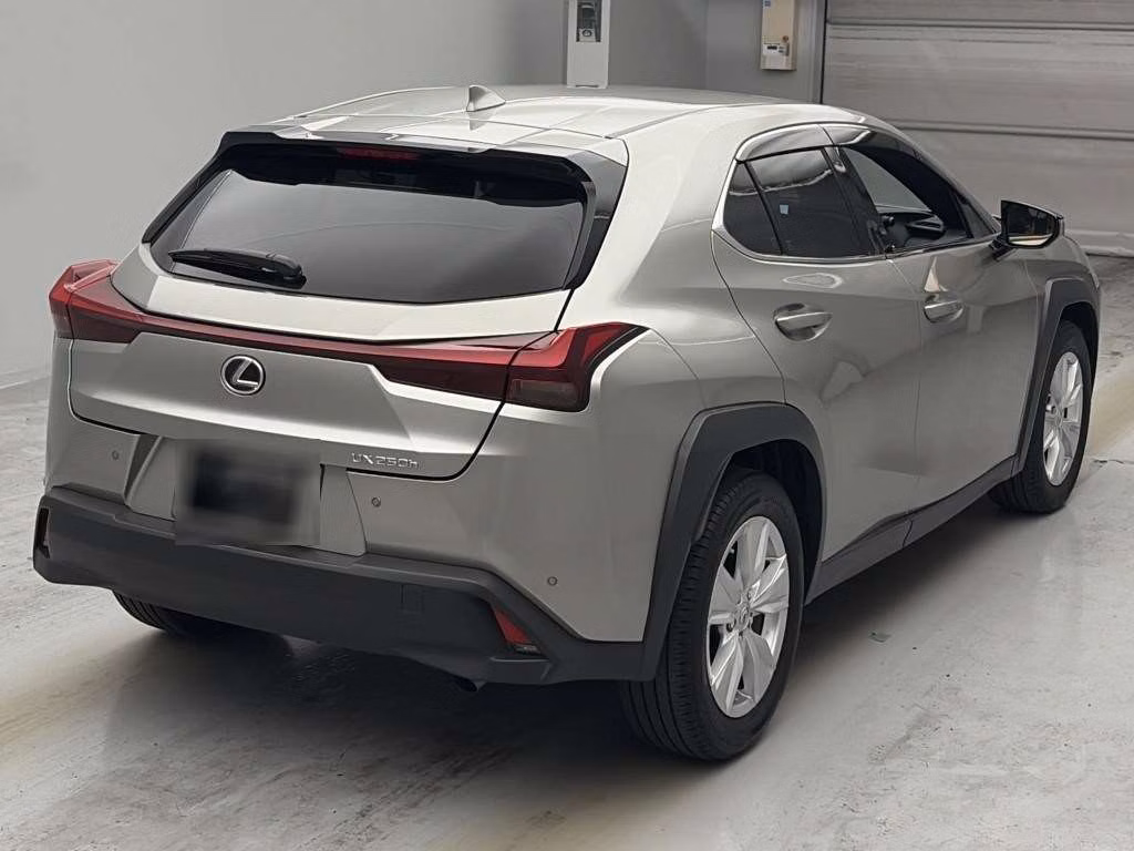 LEXUS UX250H