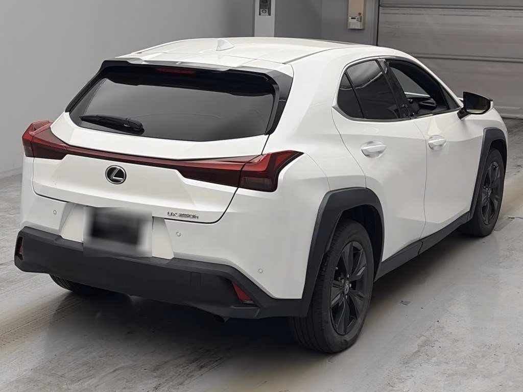 LEXUS UX250H