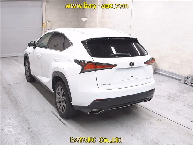 LEXUS NX300