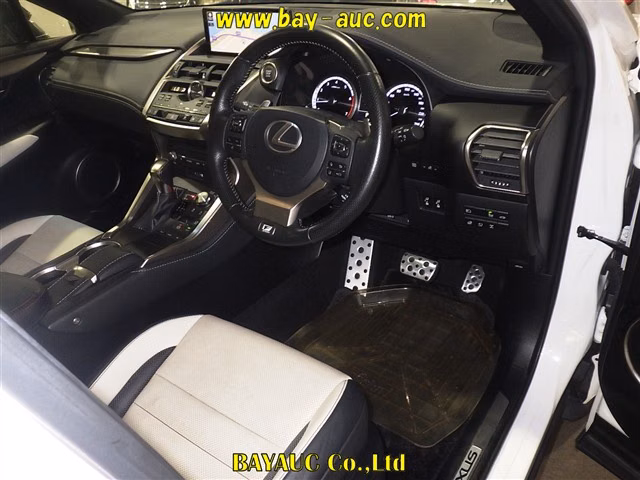 LEXUS NX300