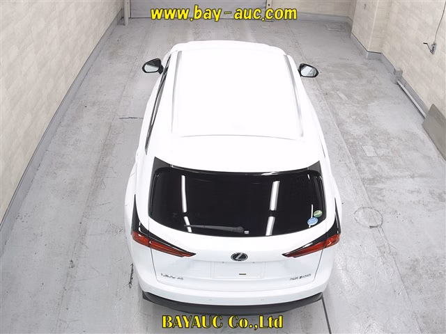 LEXUS NX300