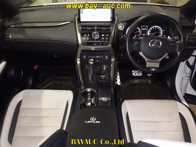 LEXUS NX300