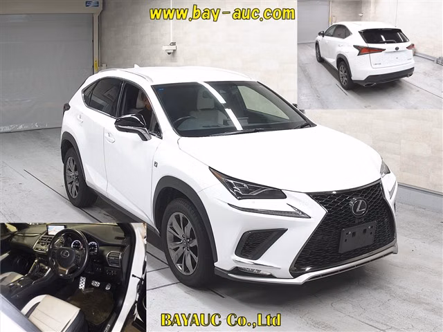 LEXUS NX300