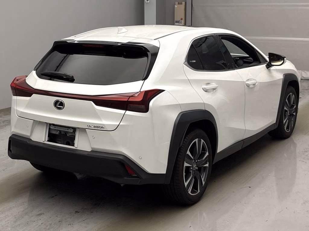 LEXUS UX250H